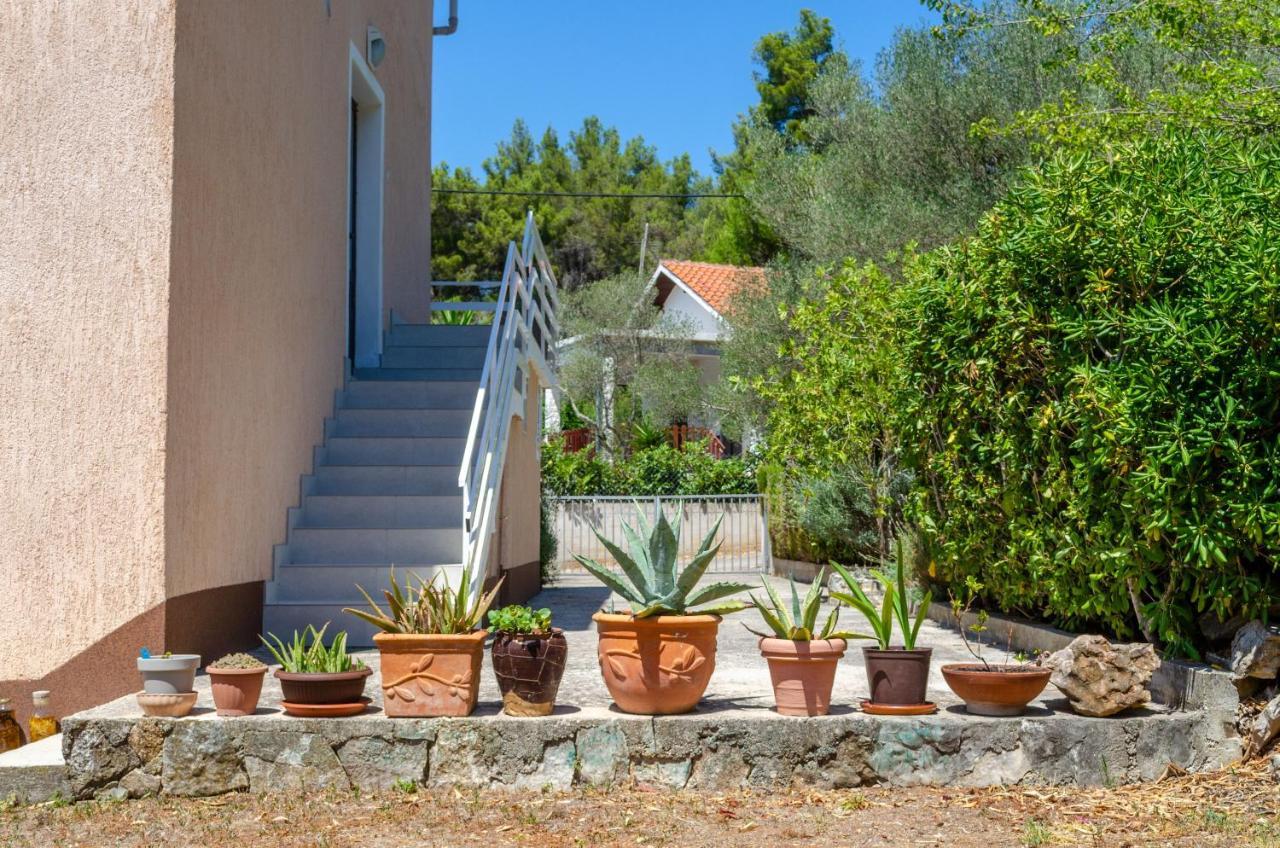 וולה לוקה Apartment Tanja מראה חיצוני תמונה